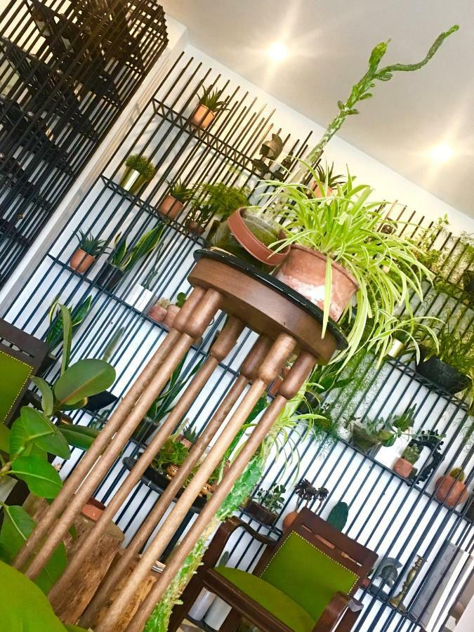 Sato Design Hotel (Adults Only) Çeşme Luaran gambar